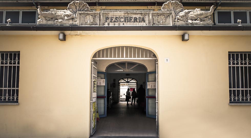 Fish market - Civitanova Marche - DORMIDANOI